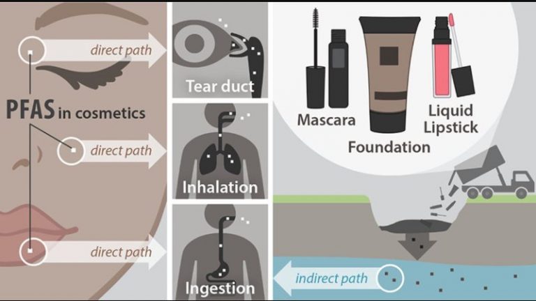 PFAS Nei Cosmetici: Quali Sono I Rischi Per La Salute? - Ultime Notizie ...